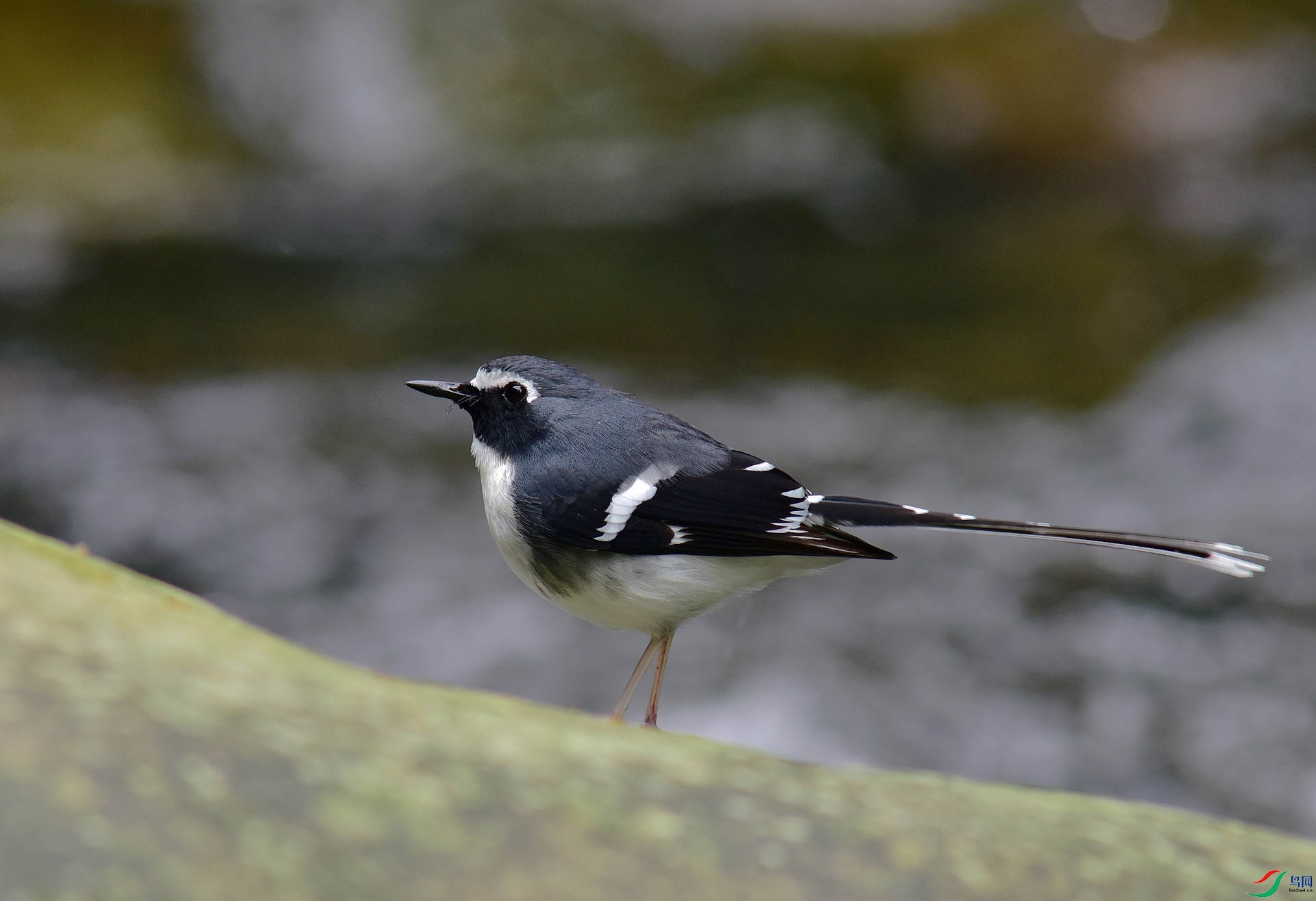 D8I_6365.jpg