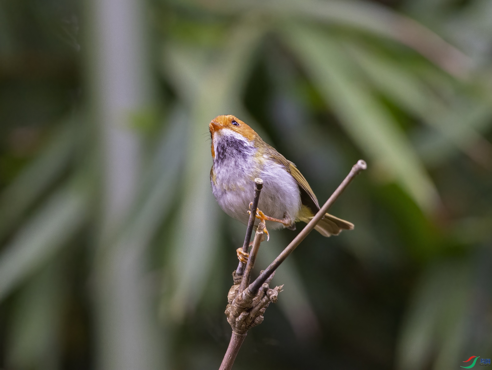 DSC_6806.jpg