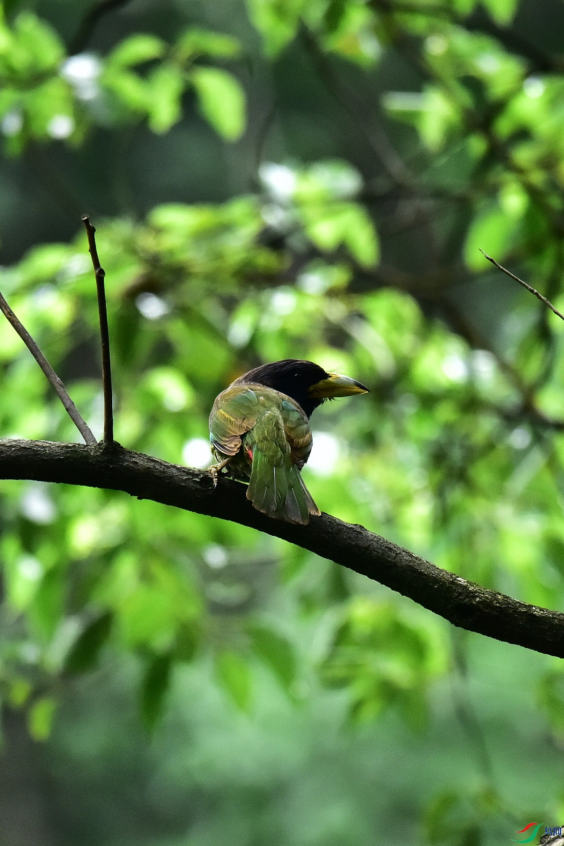 DSC_1078.JPG