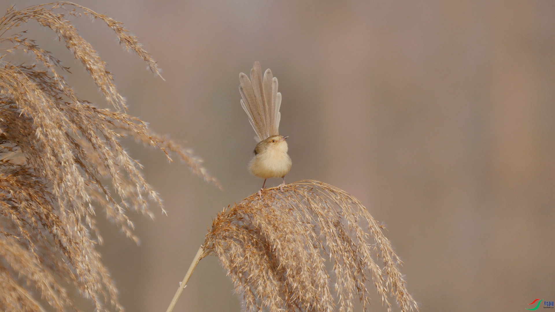 20210021.����������