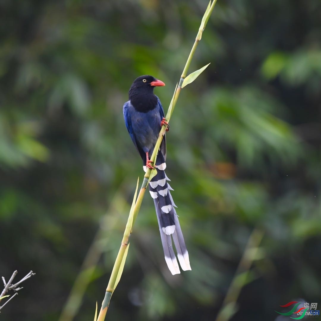 �����  ��ʦ������̨.��ʡ������.jpg