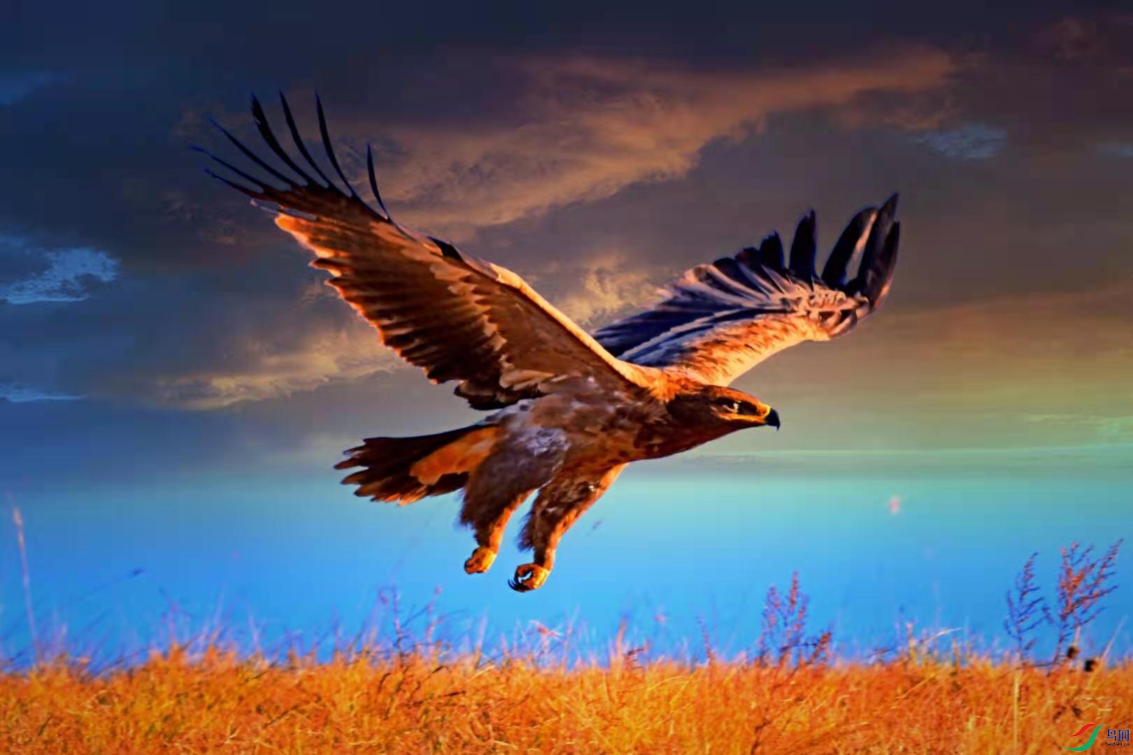 c00c20e92f9bb7b0f98f9a86bfe4c86.jpg