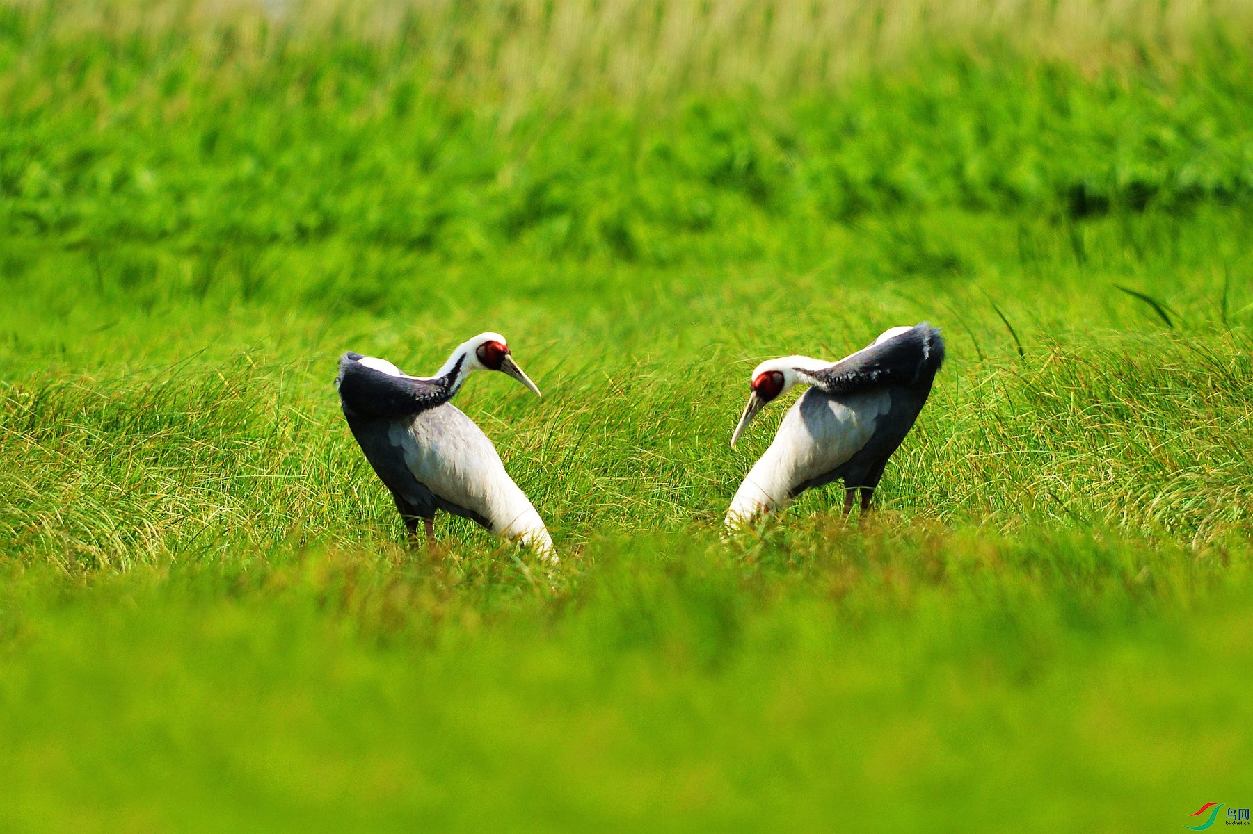 LYK_5396 ����_����_����.jpg