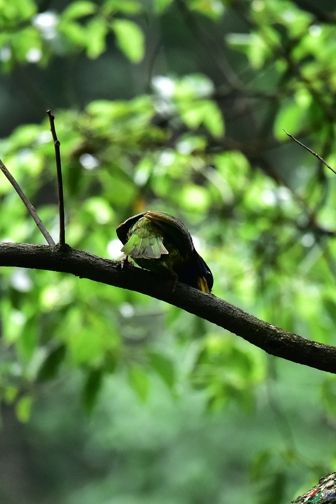 DSC_1079.JPG