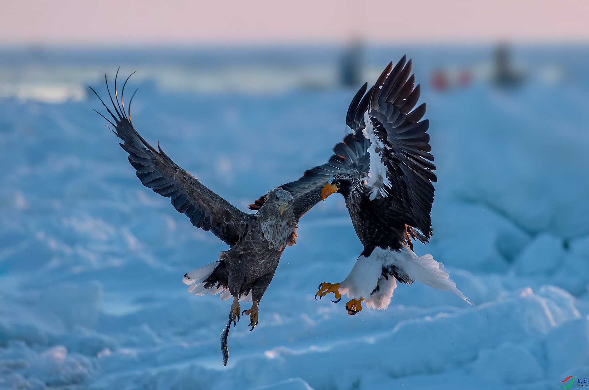 DSC_4190.jpg