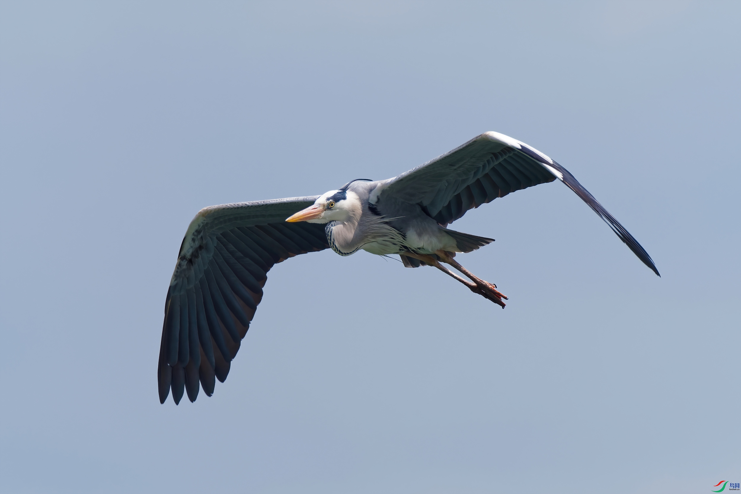P3080053_DxO-sd2.jpg
