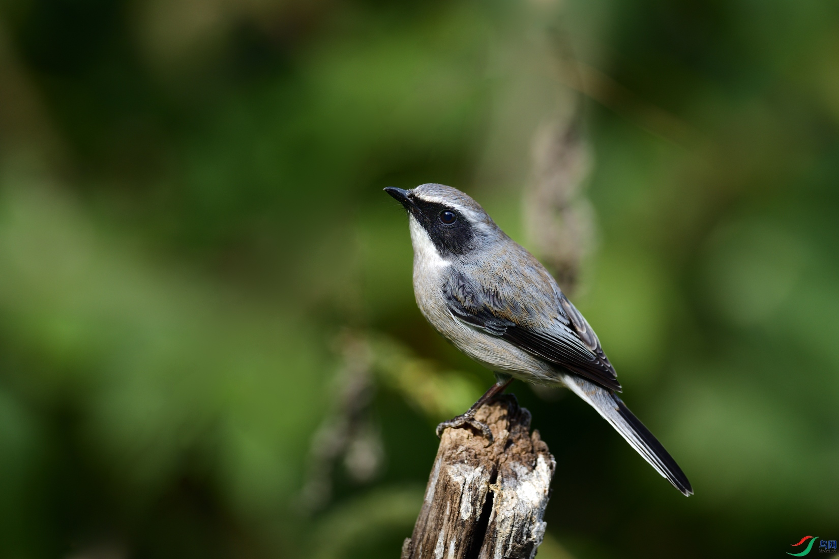 DSC_0197_00001.jpg