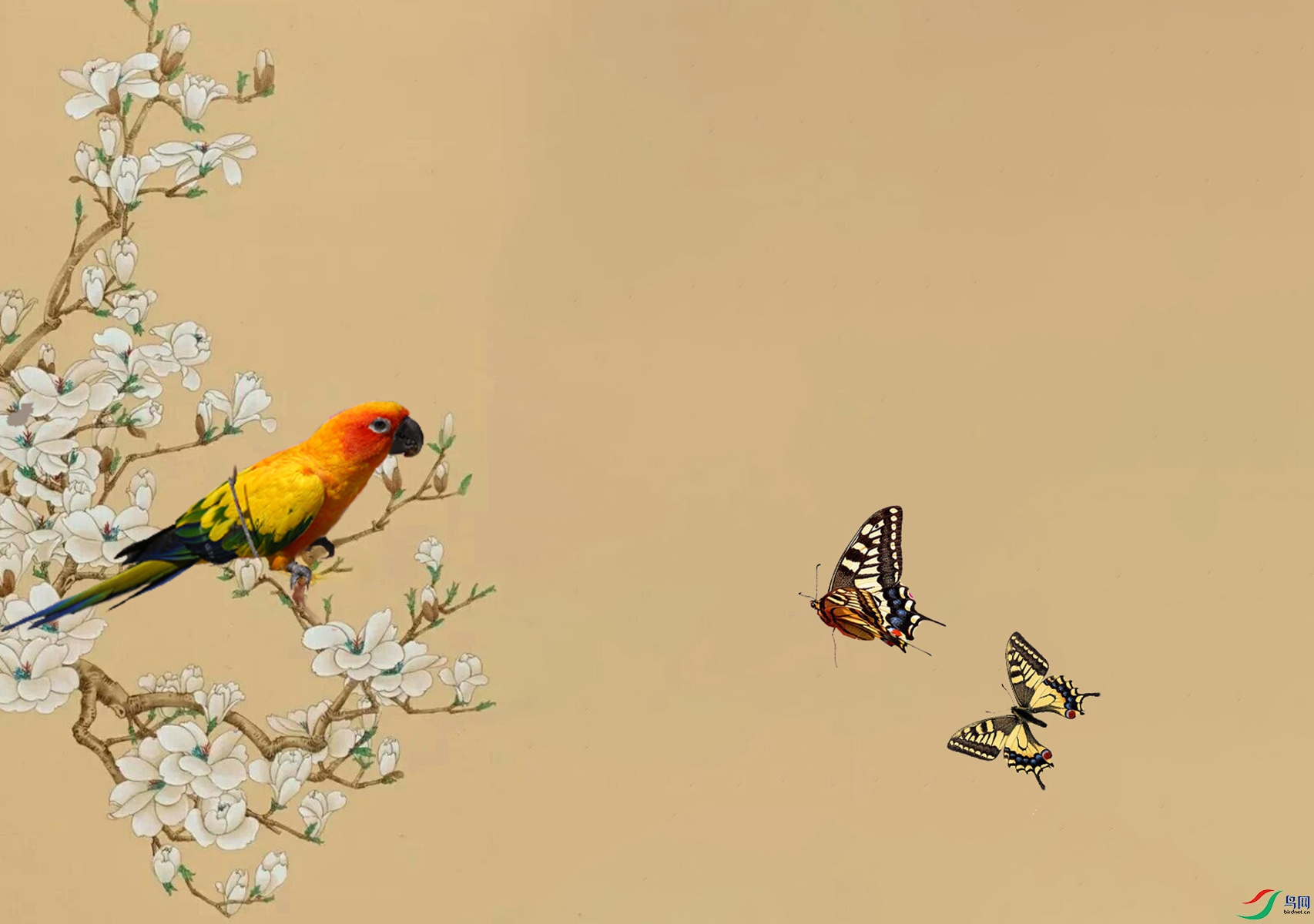 ����Ĺ���3 - ����.jpg