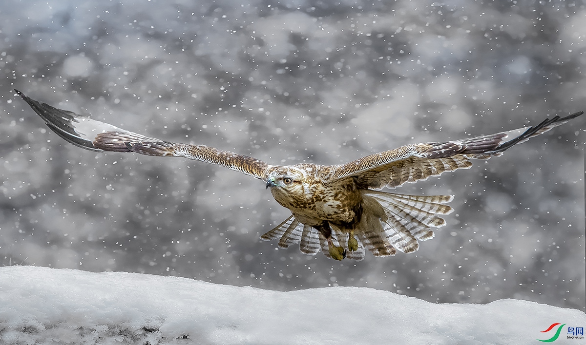 DSC_6785-1.jpg