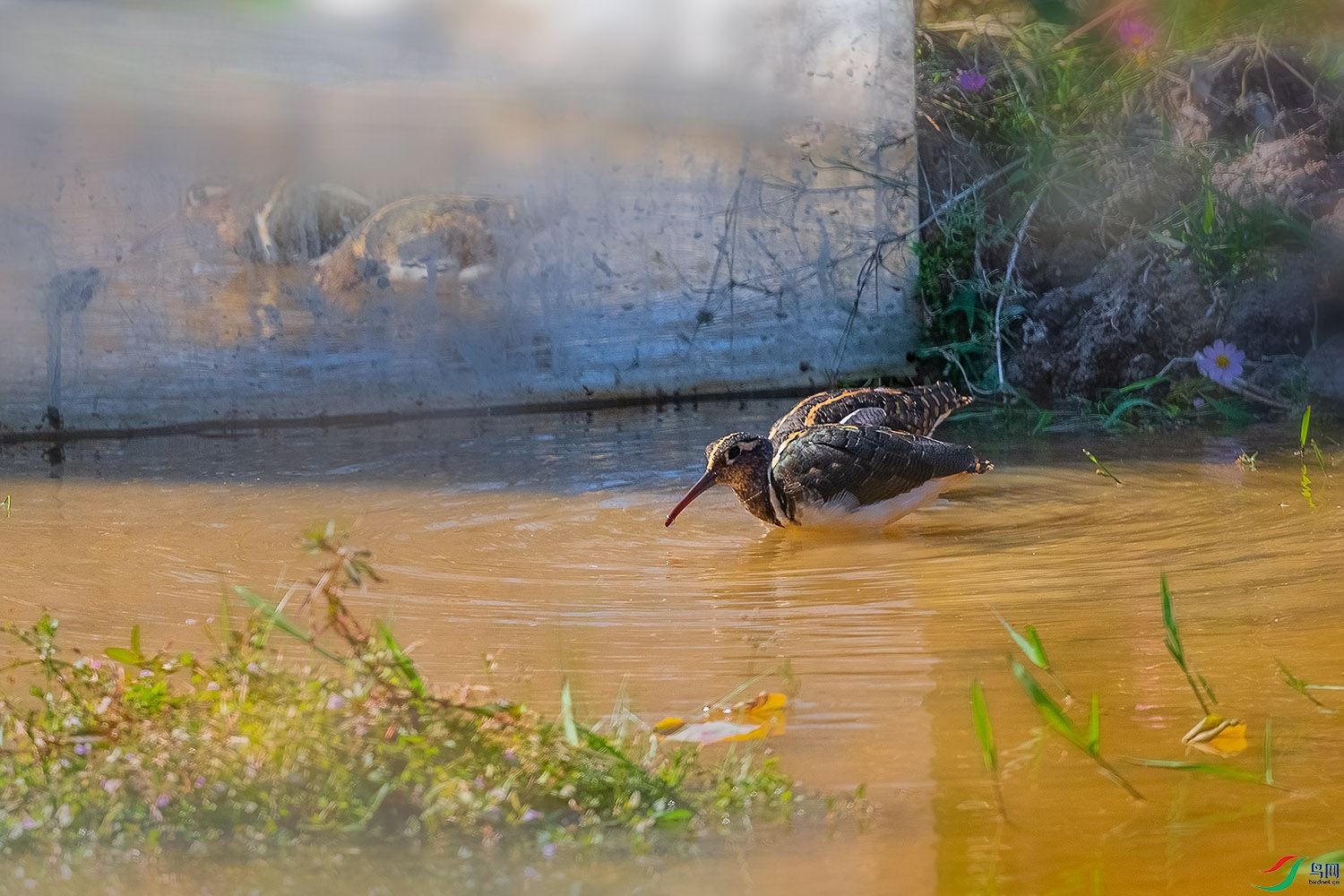 DSC_8430-2.jpg
