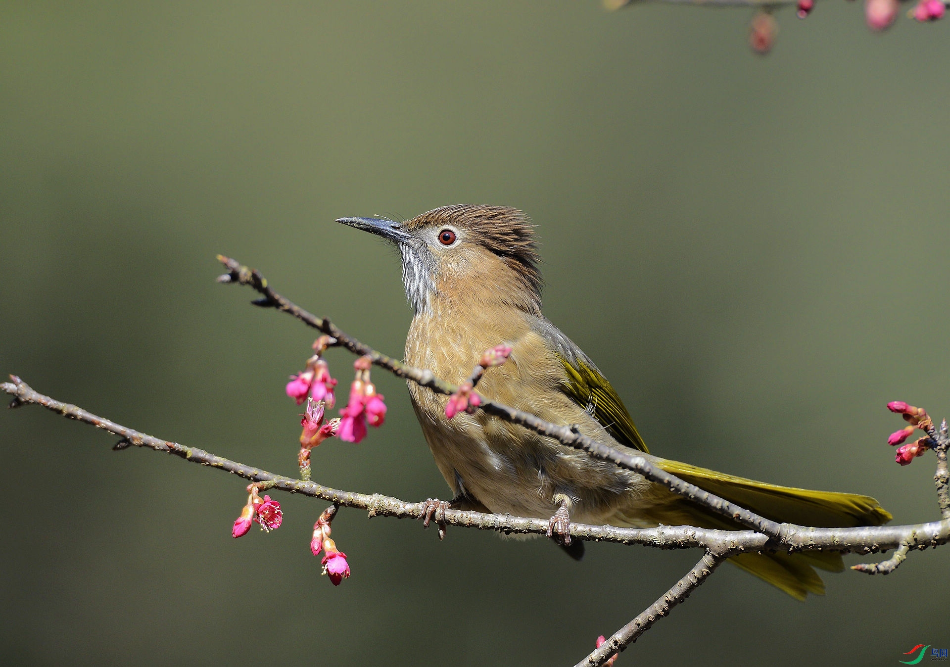_D808713.jpg
