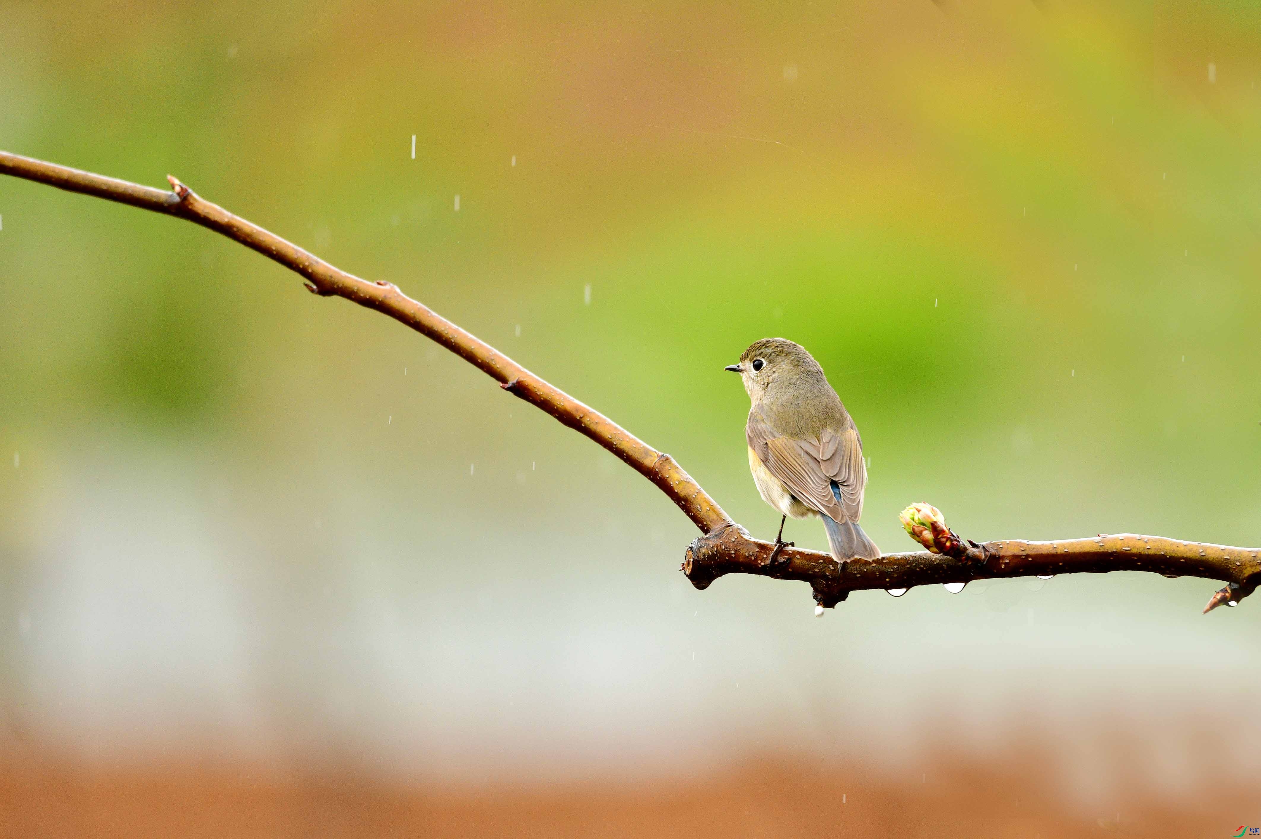 ���м���