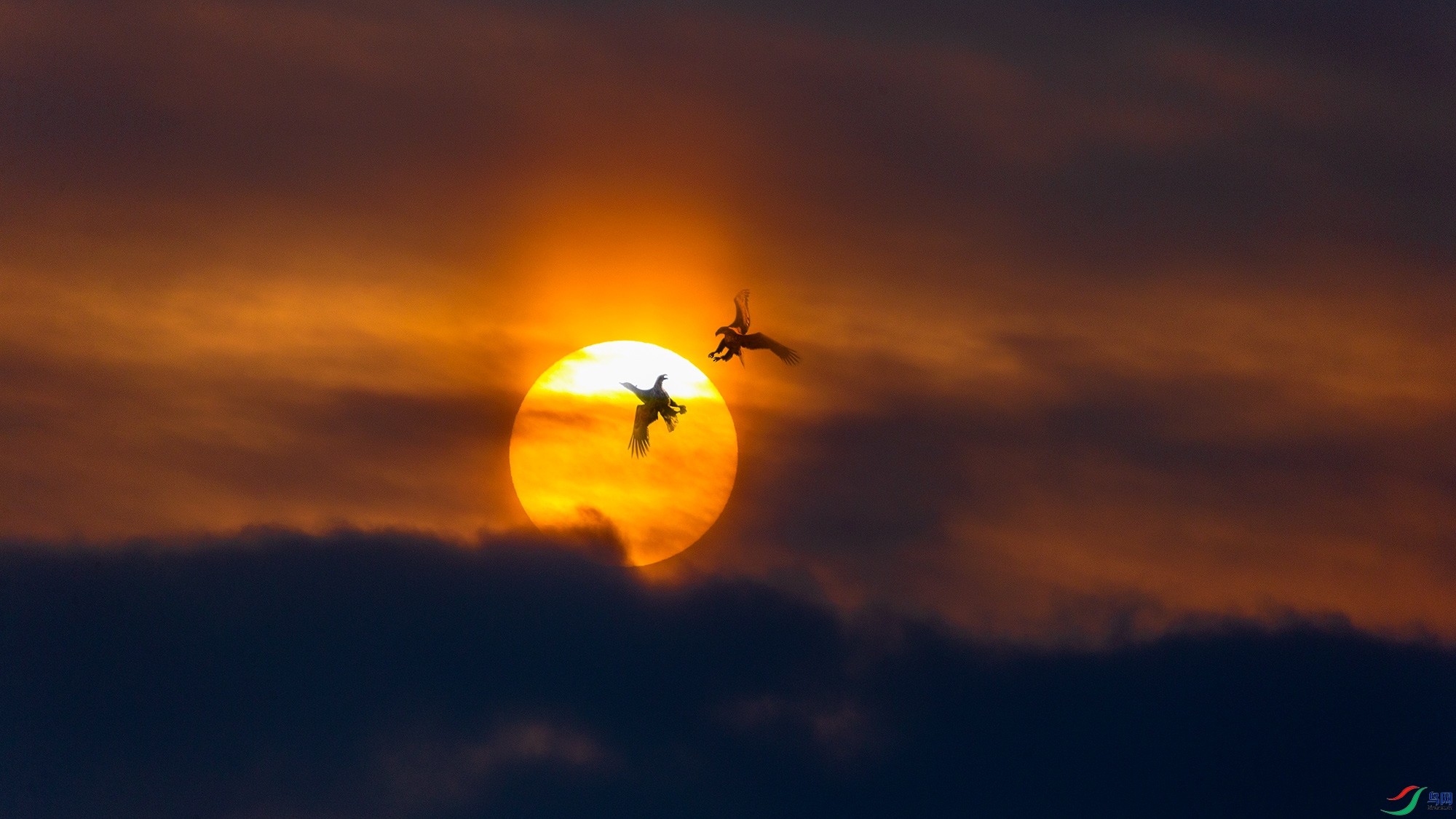 A15J4380-2021-03-13.jpg