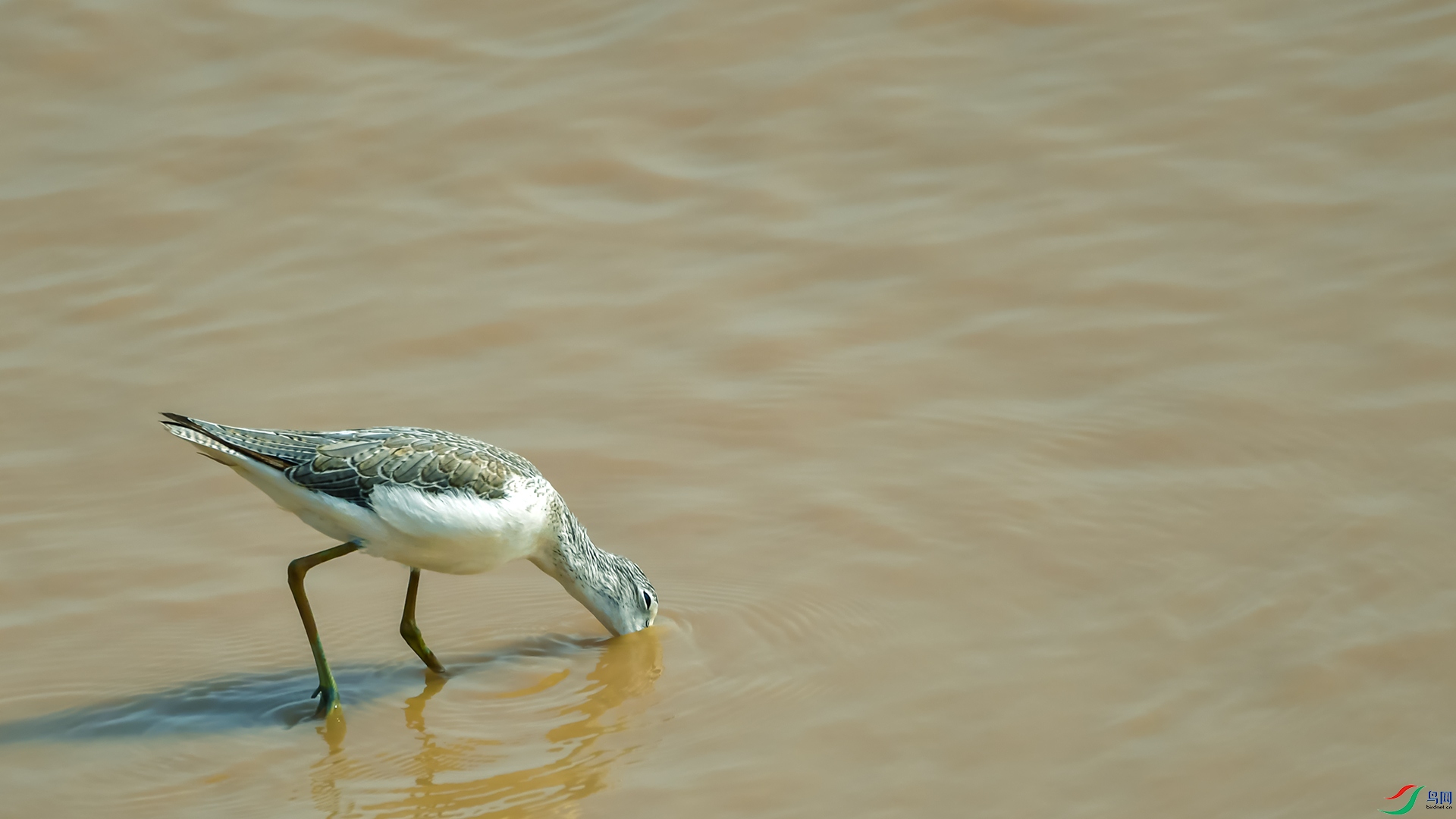 DSC_0844-3.jpg