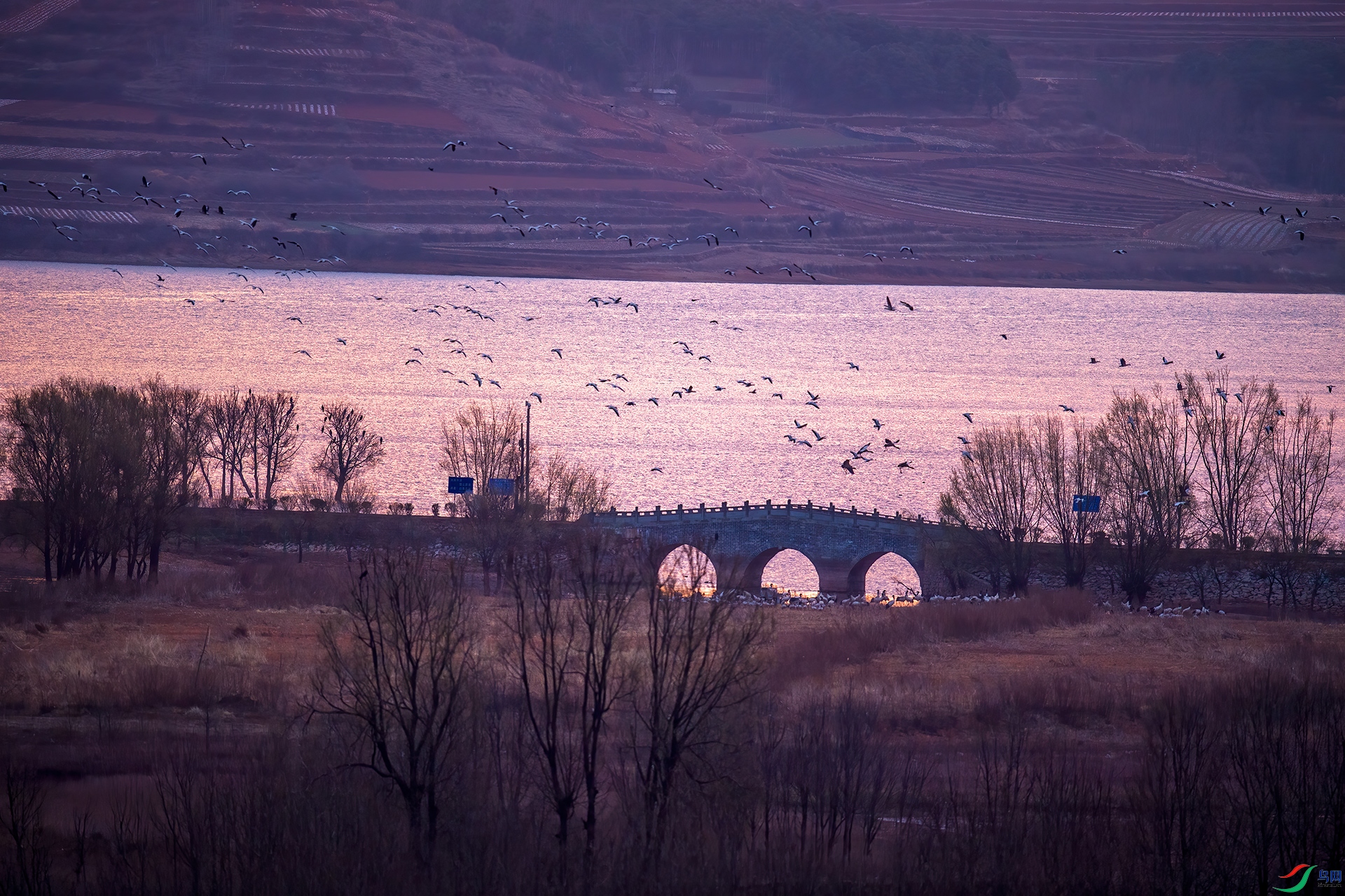 NIKON D5_20210302_074016.jpg