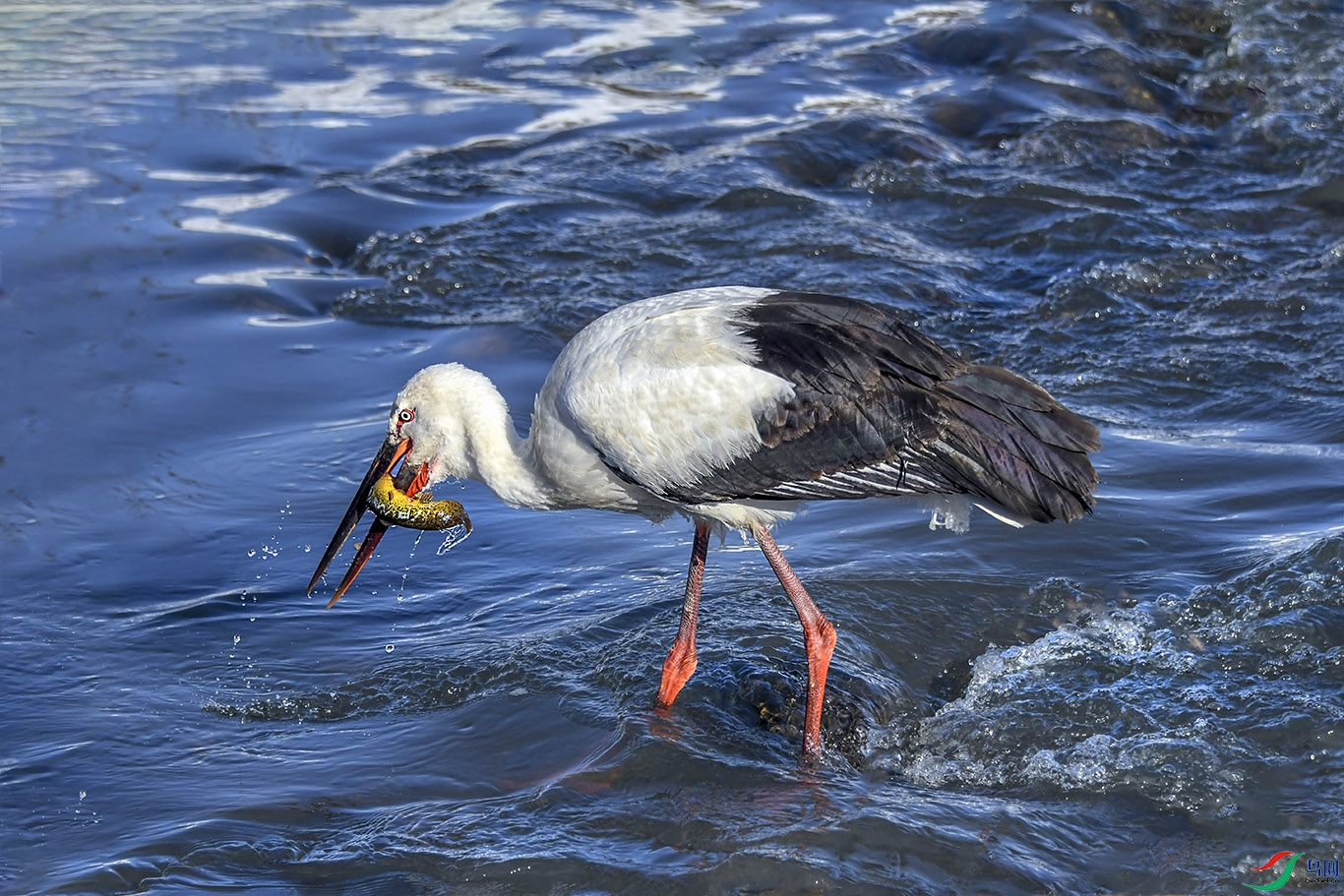 DSC_6618.jpg