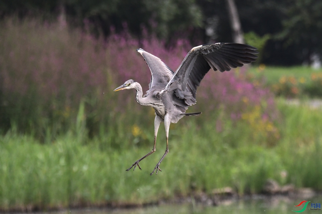 DSC_1579��Ƭ (2).JPG