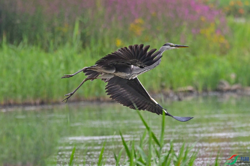 DSC_1579��Ƭ (1).JPG