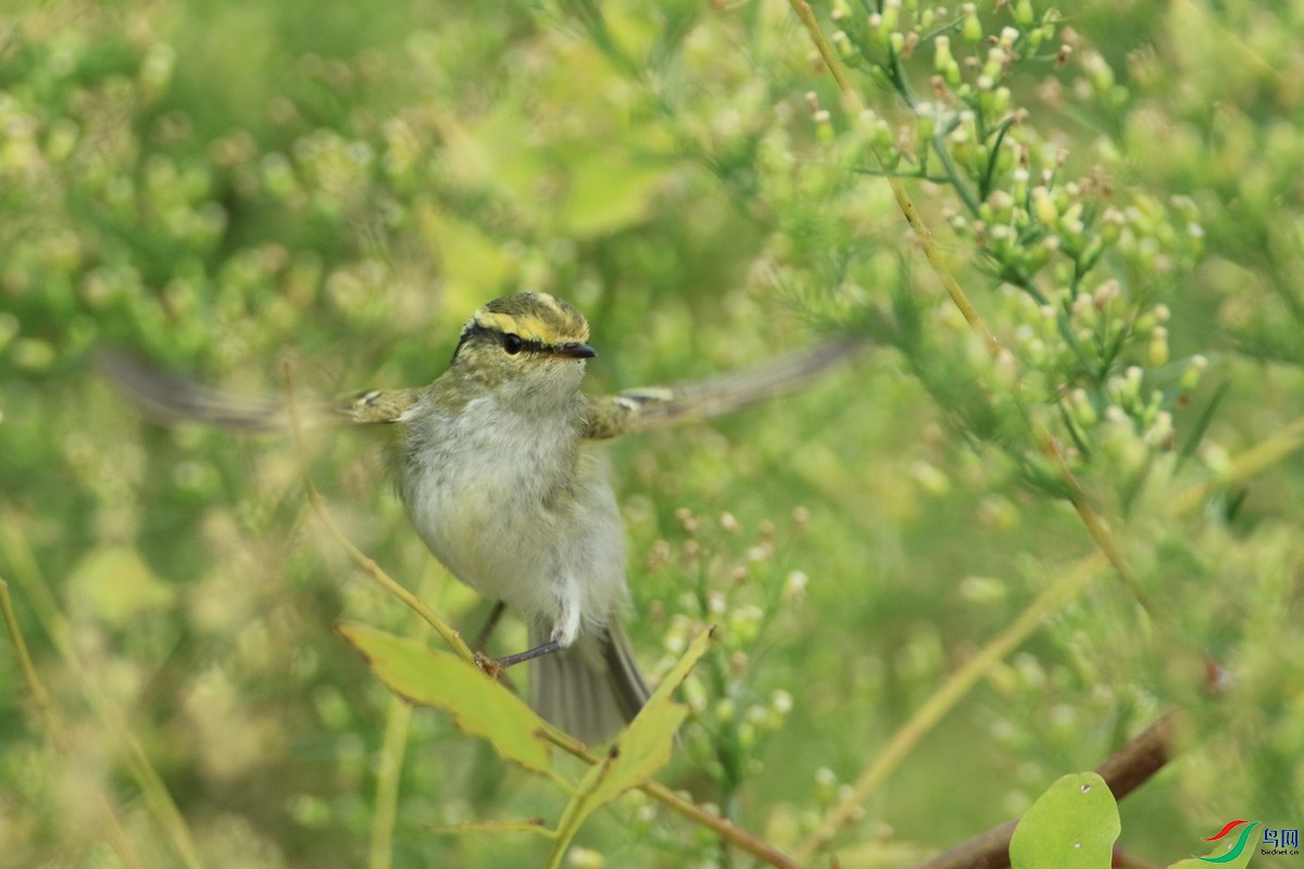 ��ü��ݺ��  0F4A6837.jpg