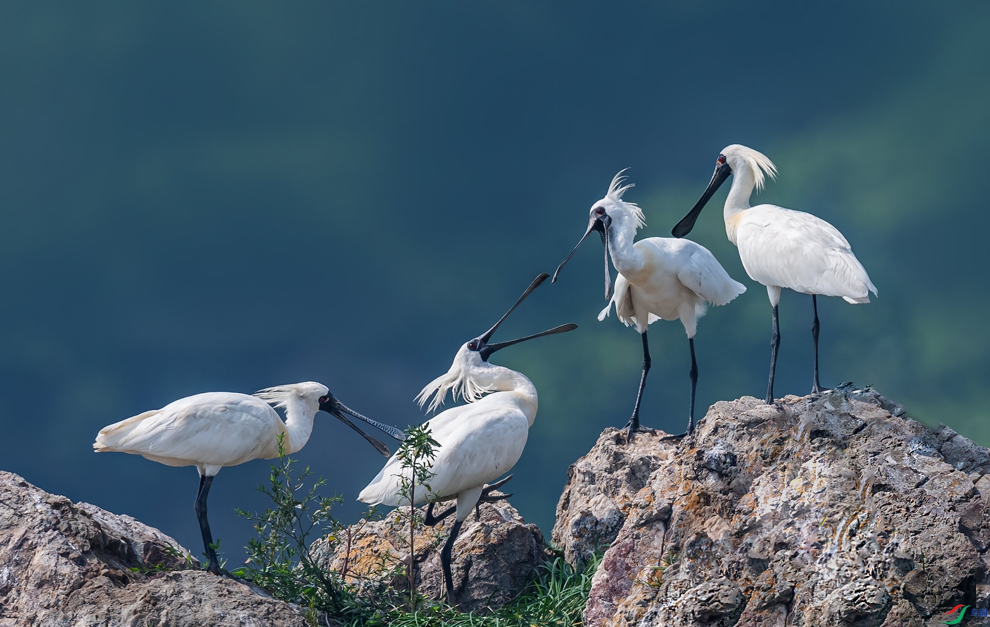 ��������