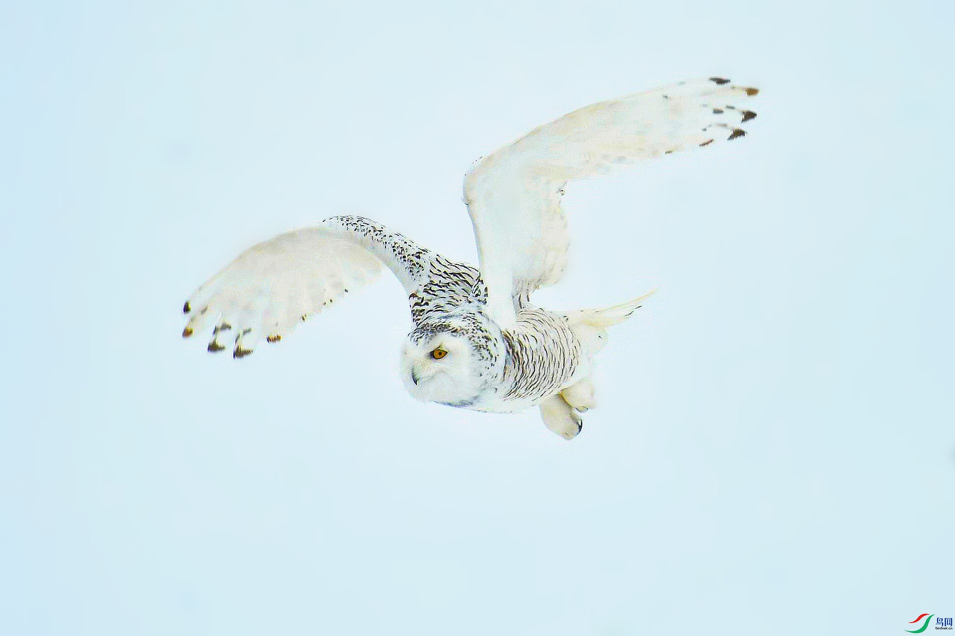 DSC_8839_����.jpg