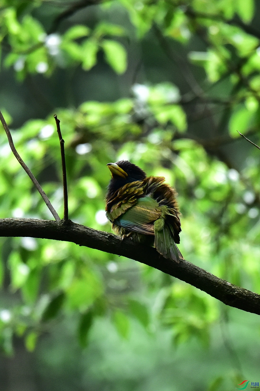 DSC_1087.JPG