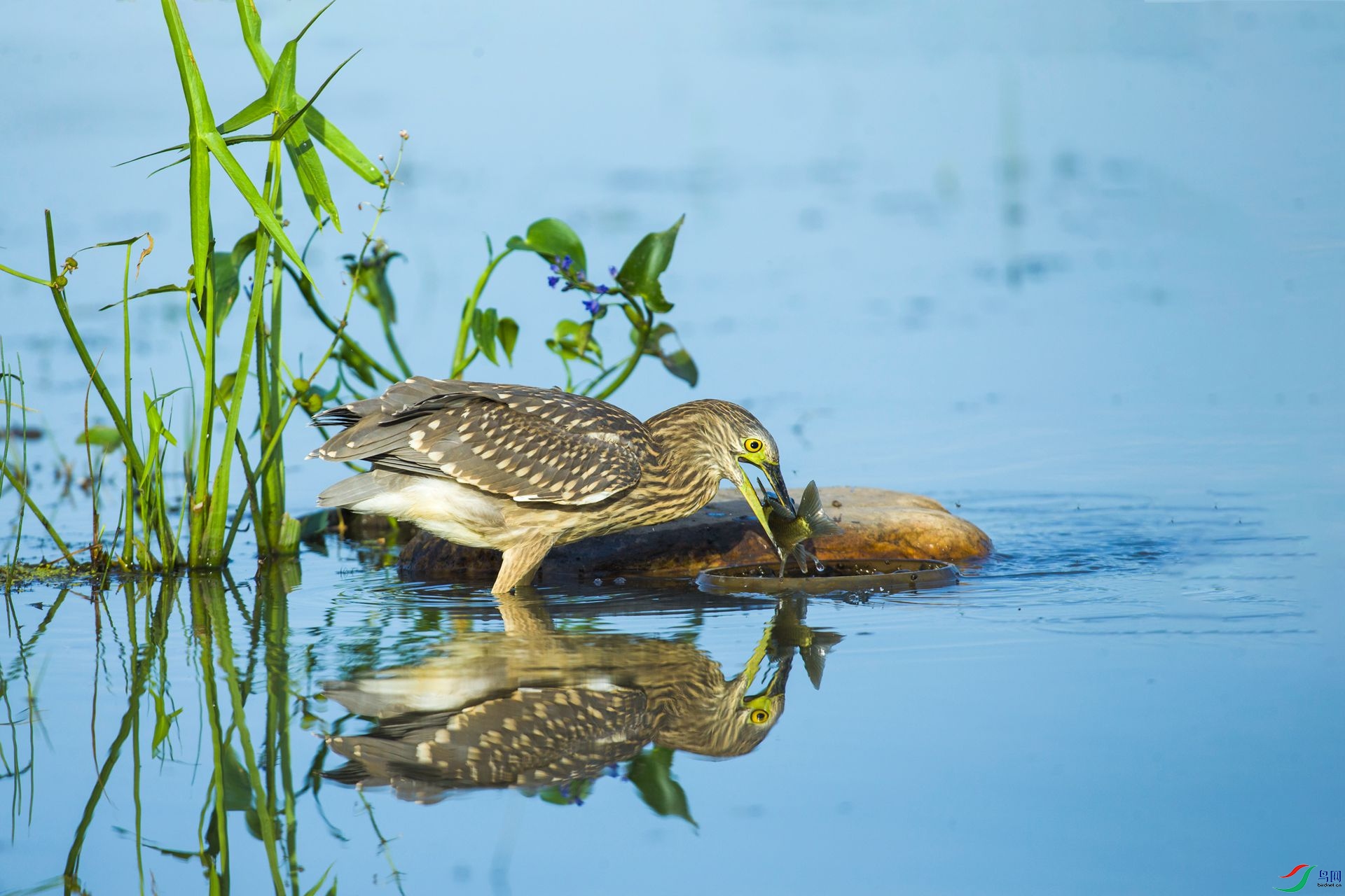 ���������������˵࣬�о���������������պÿ��������Լ�����ٴ���ˡ�