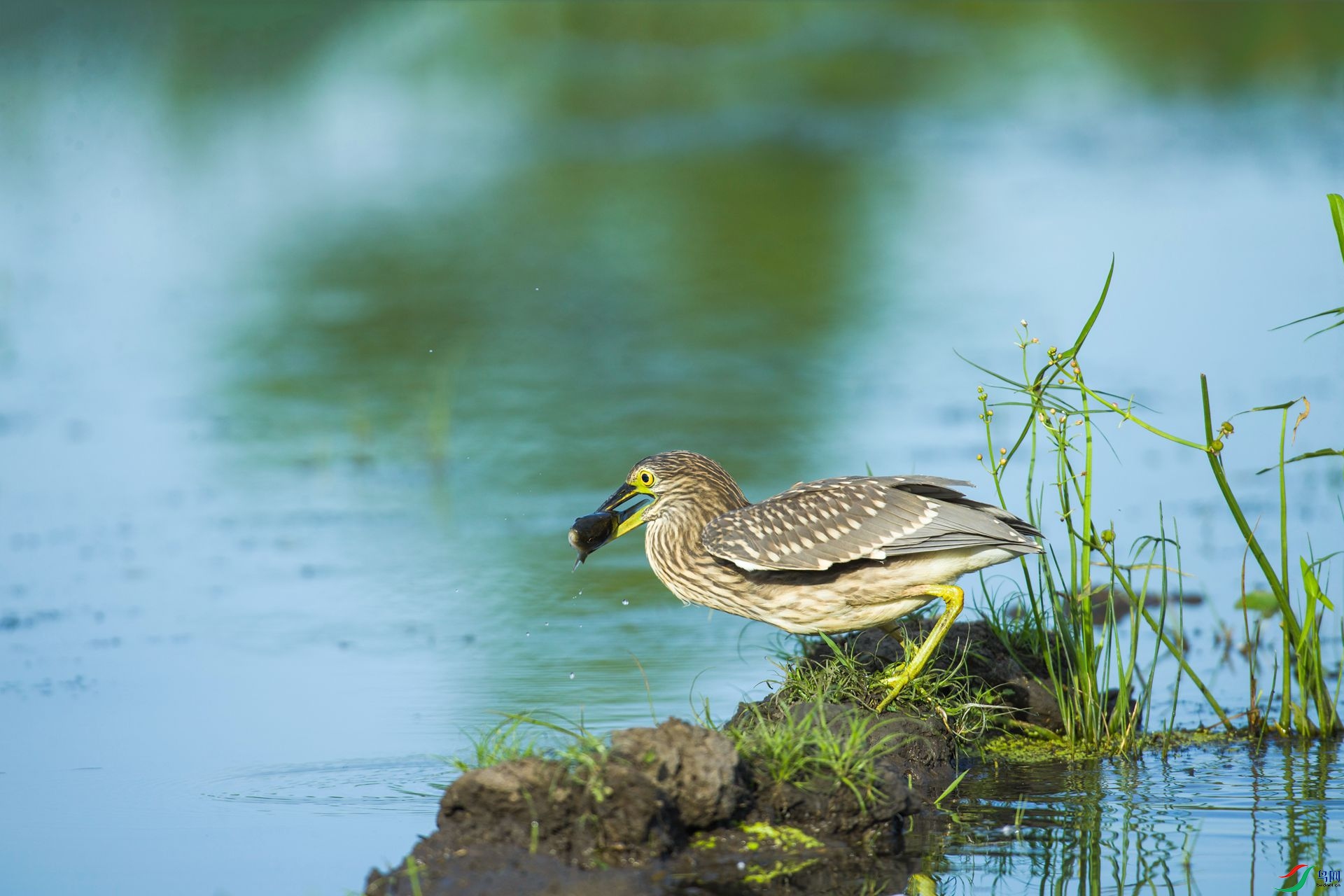 ��æ������һ�������ϣ�����ǰ���Ѿ�û����ˮ��·�����ˣ�ֻ�ܵ�����ɹ�ȥ�ˡ�