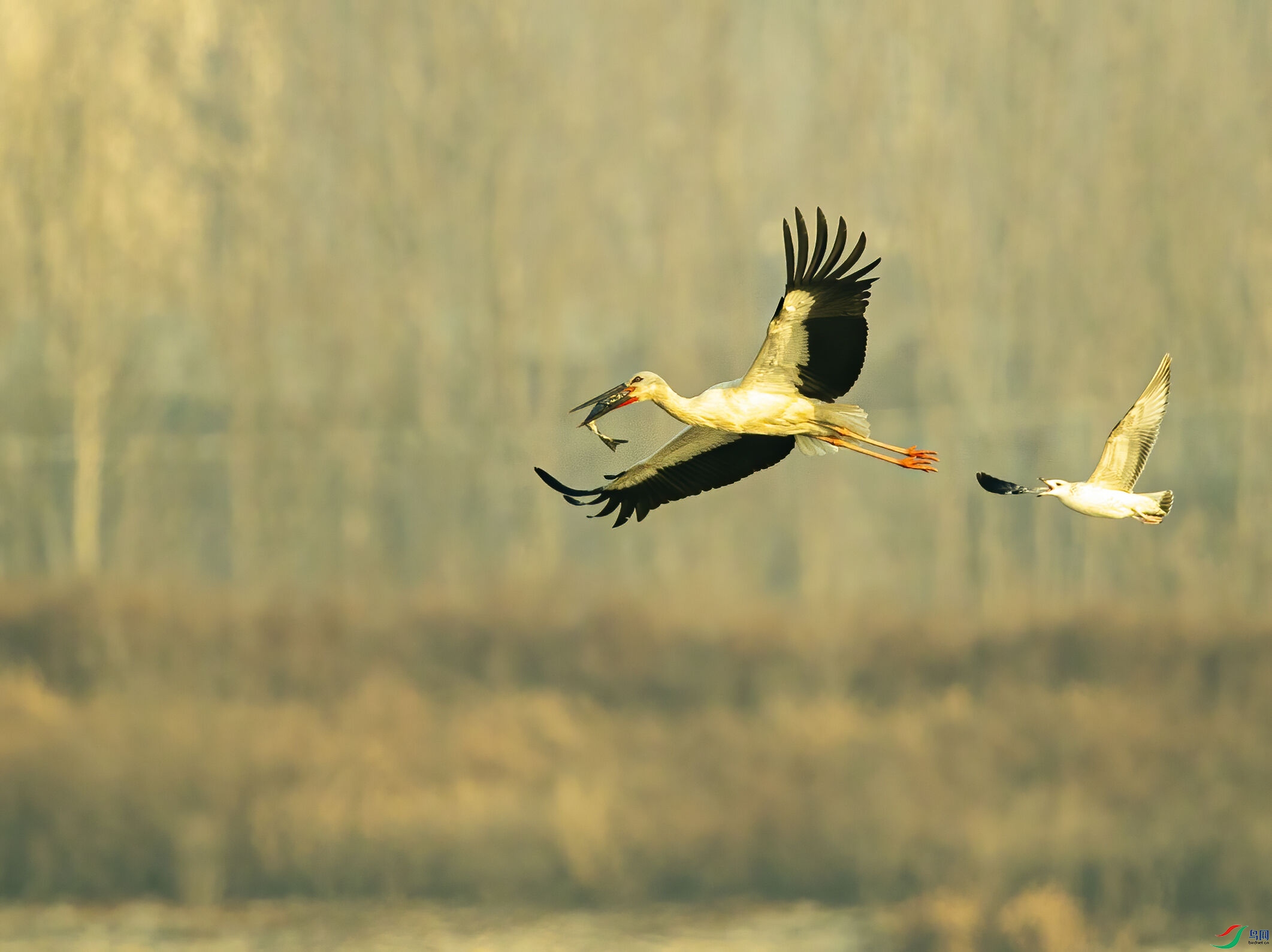 A26I6659.jpg