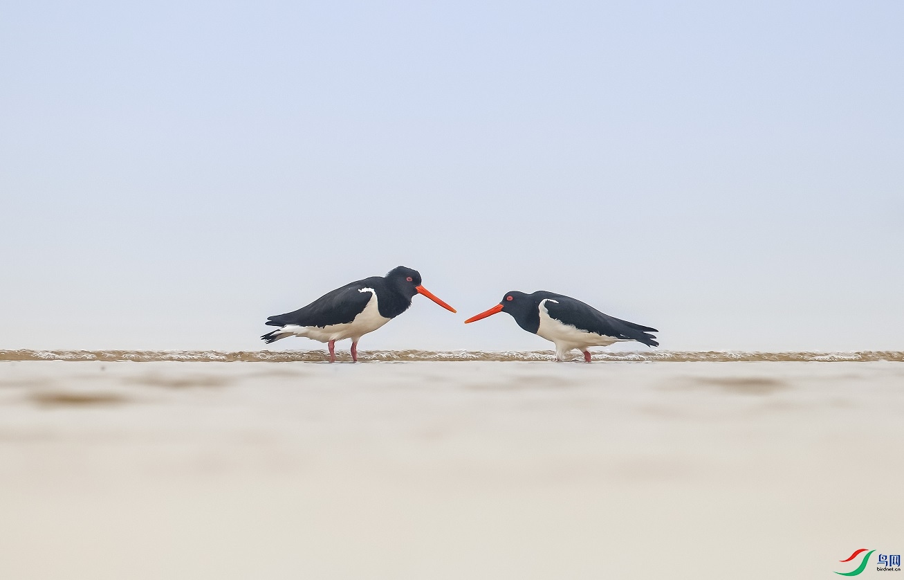 �����ϵĹ�ͨ