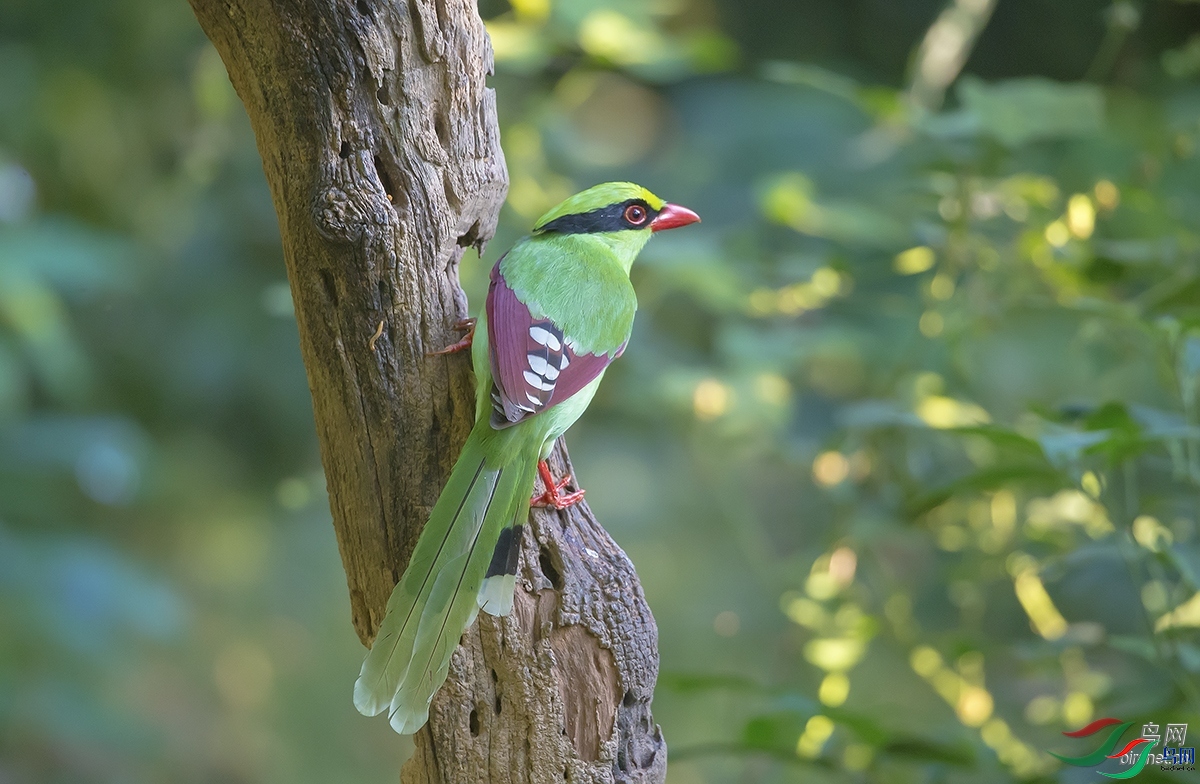 ��Ȼ�п� ��ʦ����������ʡ�º���徰����������ӯ����.jpg