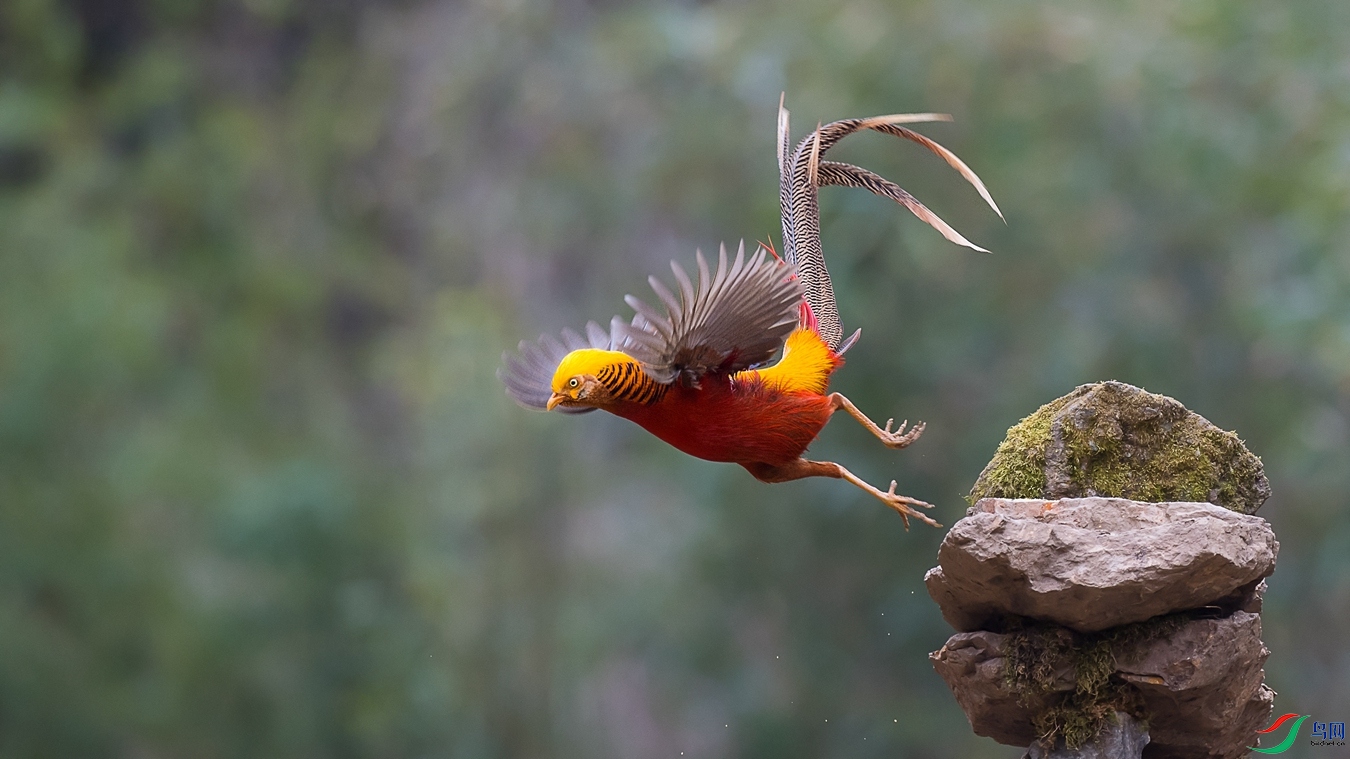 DSC_8245 - ����.jpg