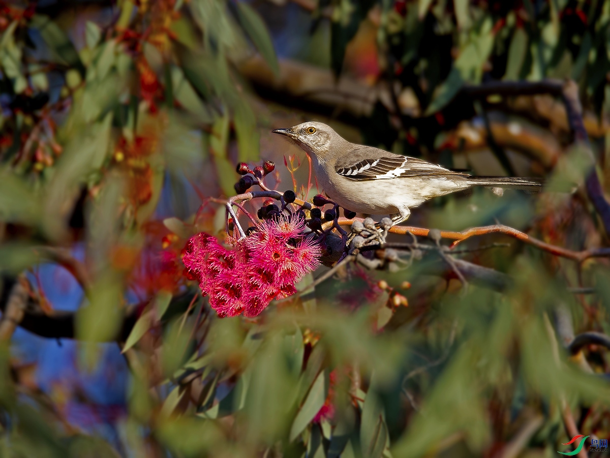 JJS_6885a.jpg