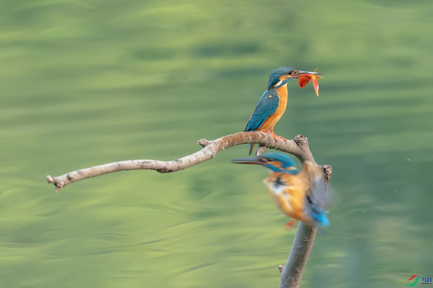 A9D05290a.jpg