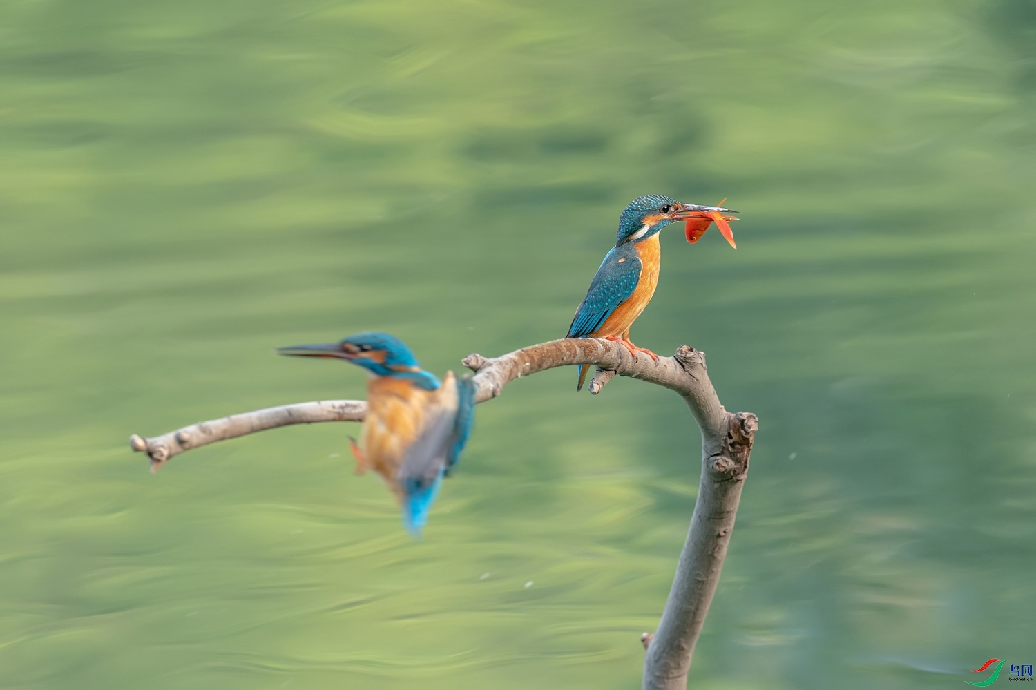 A9D05291a.jpg