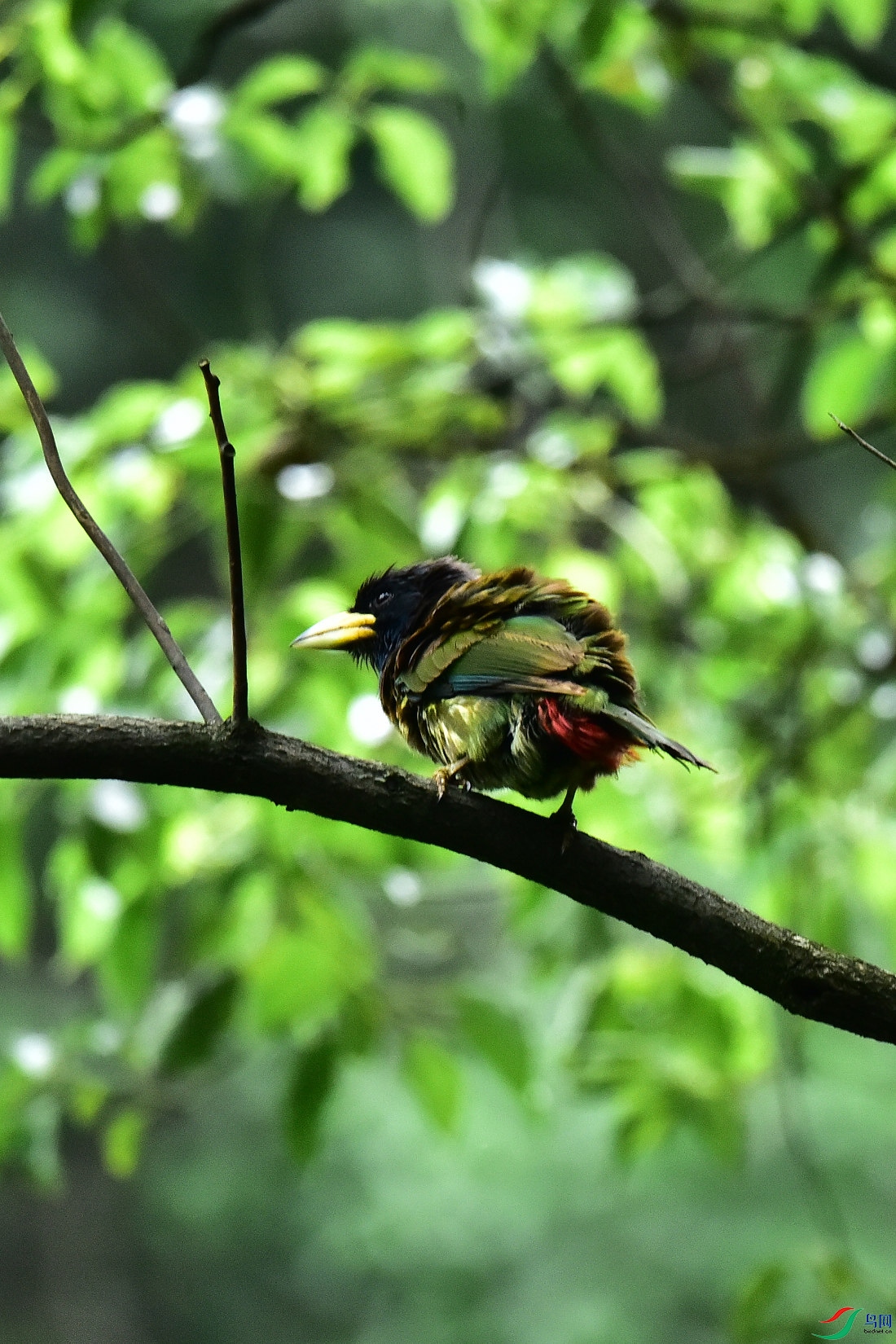 DSC_1091.JPG