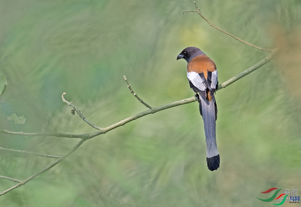 ��������  ��ʦ����������ʡ˼é��.jpg