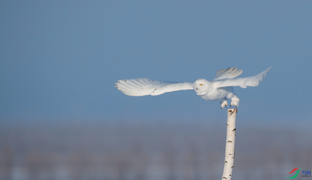 DSC_2838.jpg