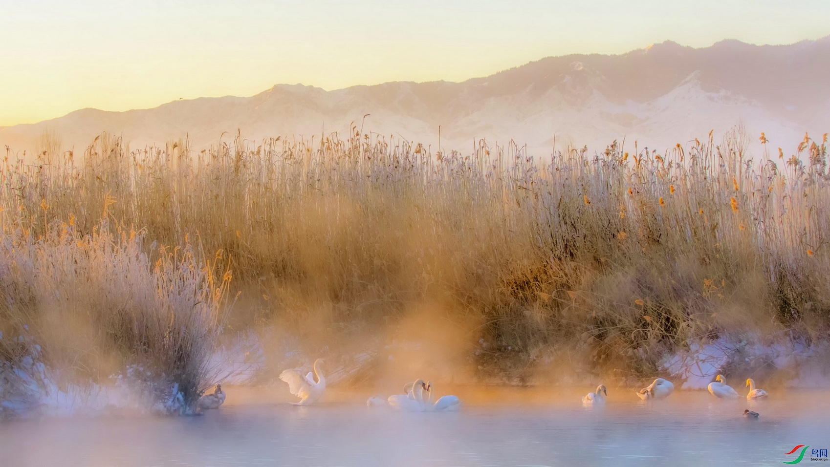 DSC_6990DF01A.jpg