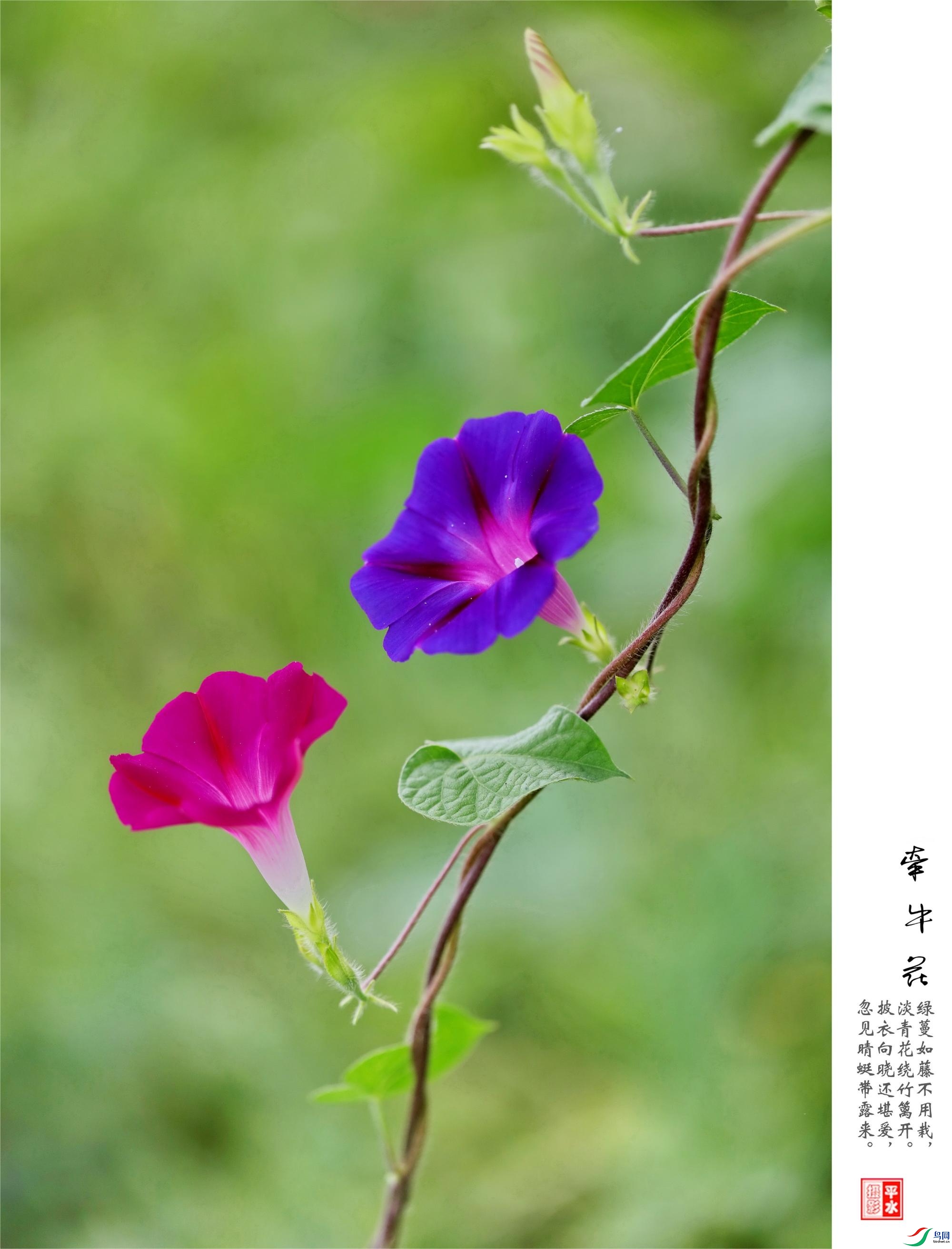 70f86022181a45f5bdac05b157929cc7.jpg