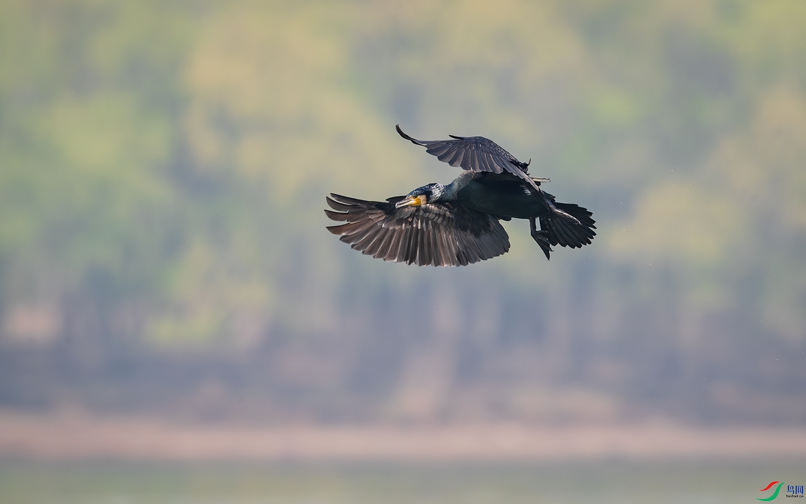 1DX_0920-1.jpg