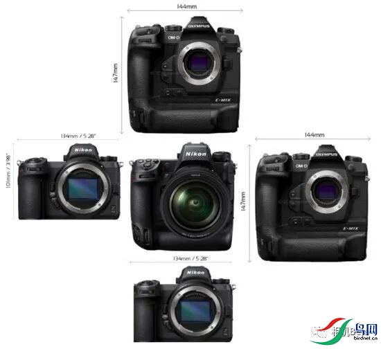 ���� (4).jpg