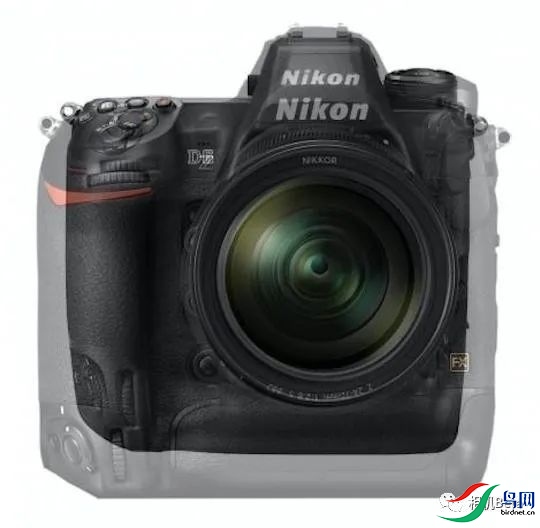 ���� (1).jpg