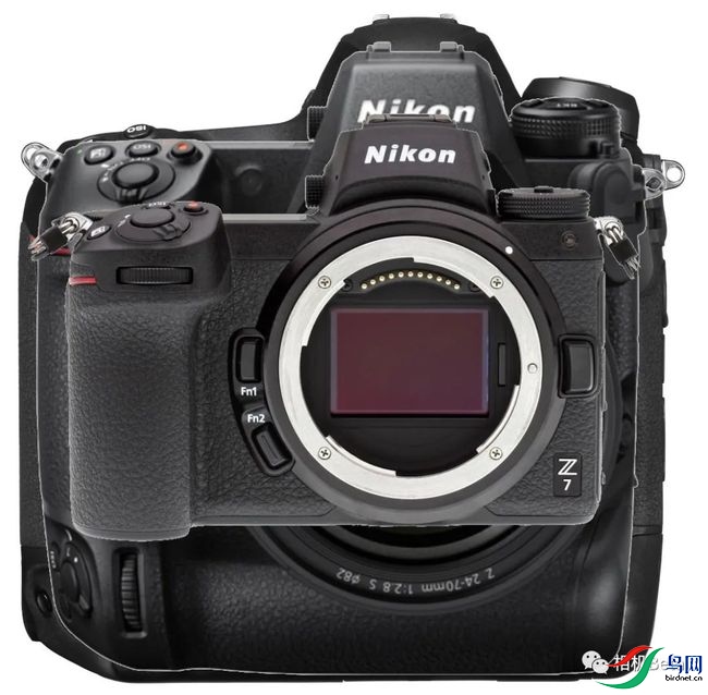 ���� (2).jpg