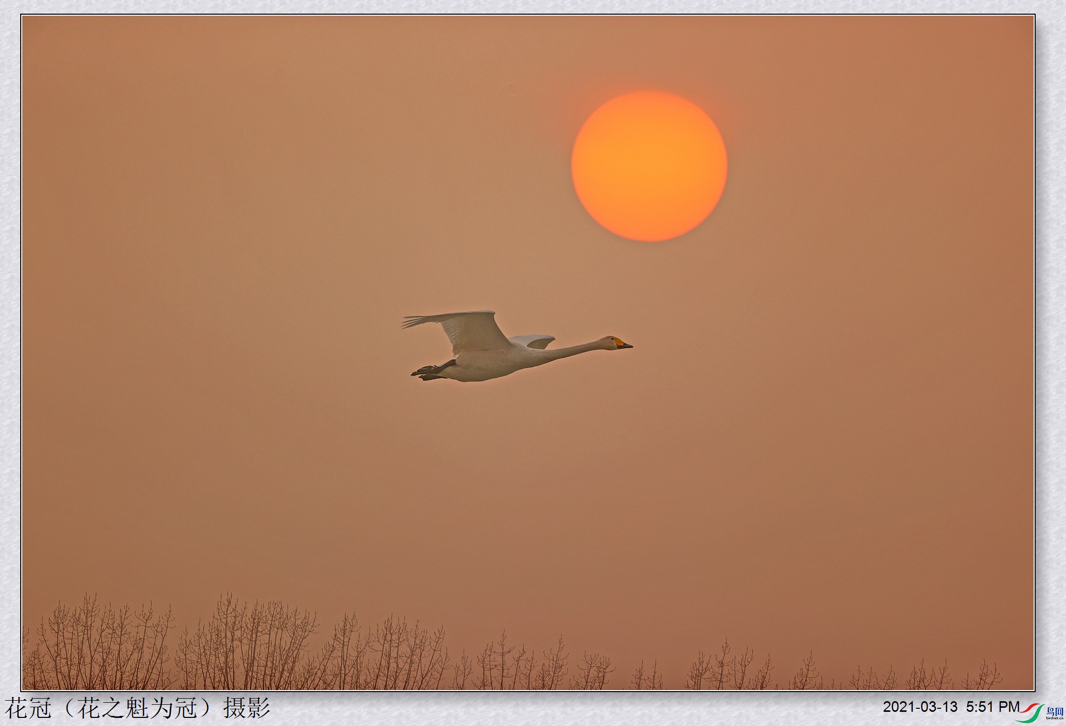 AH4I4180B-1_����.jpg