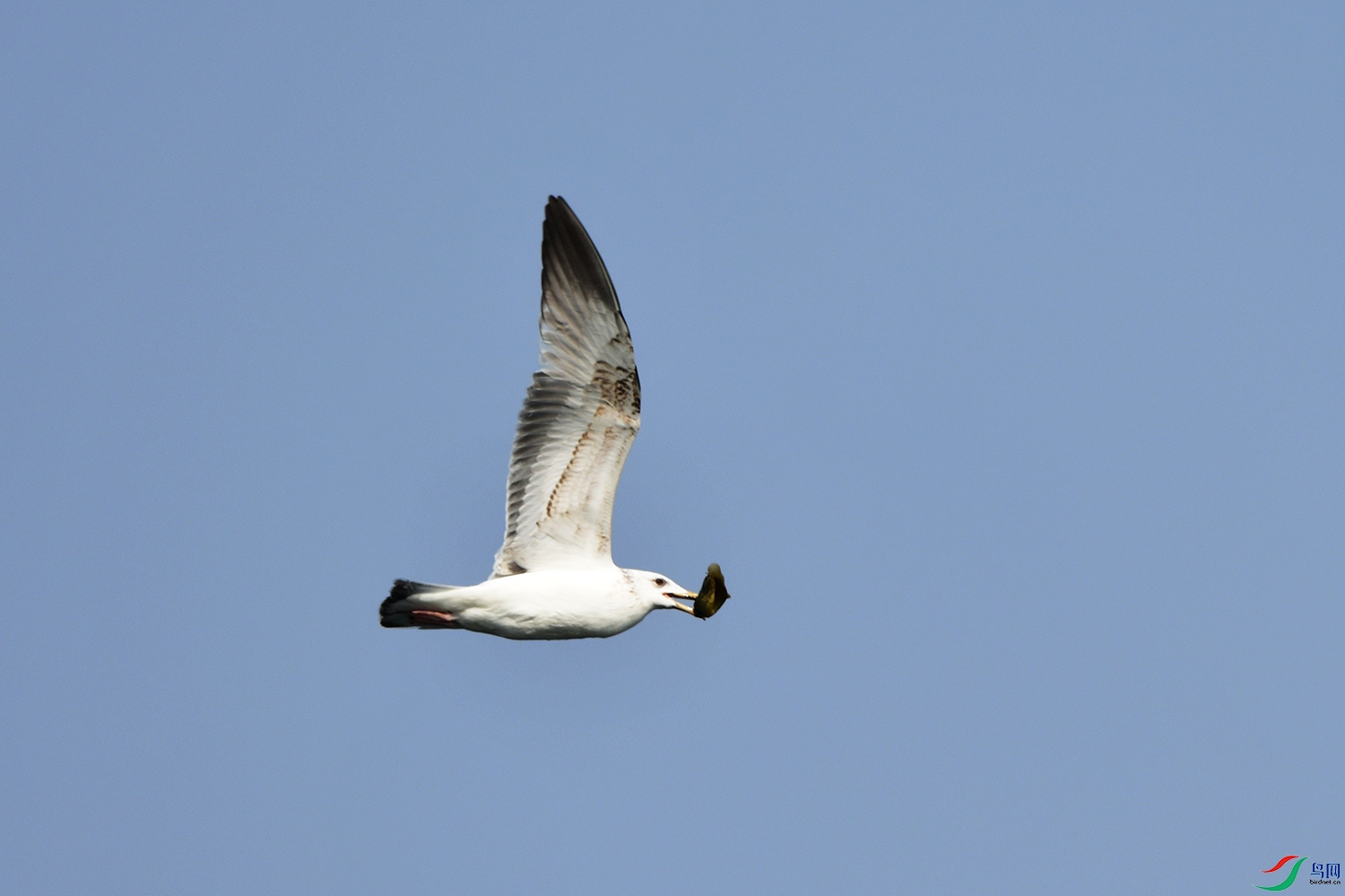 DSC_6822.jpg