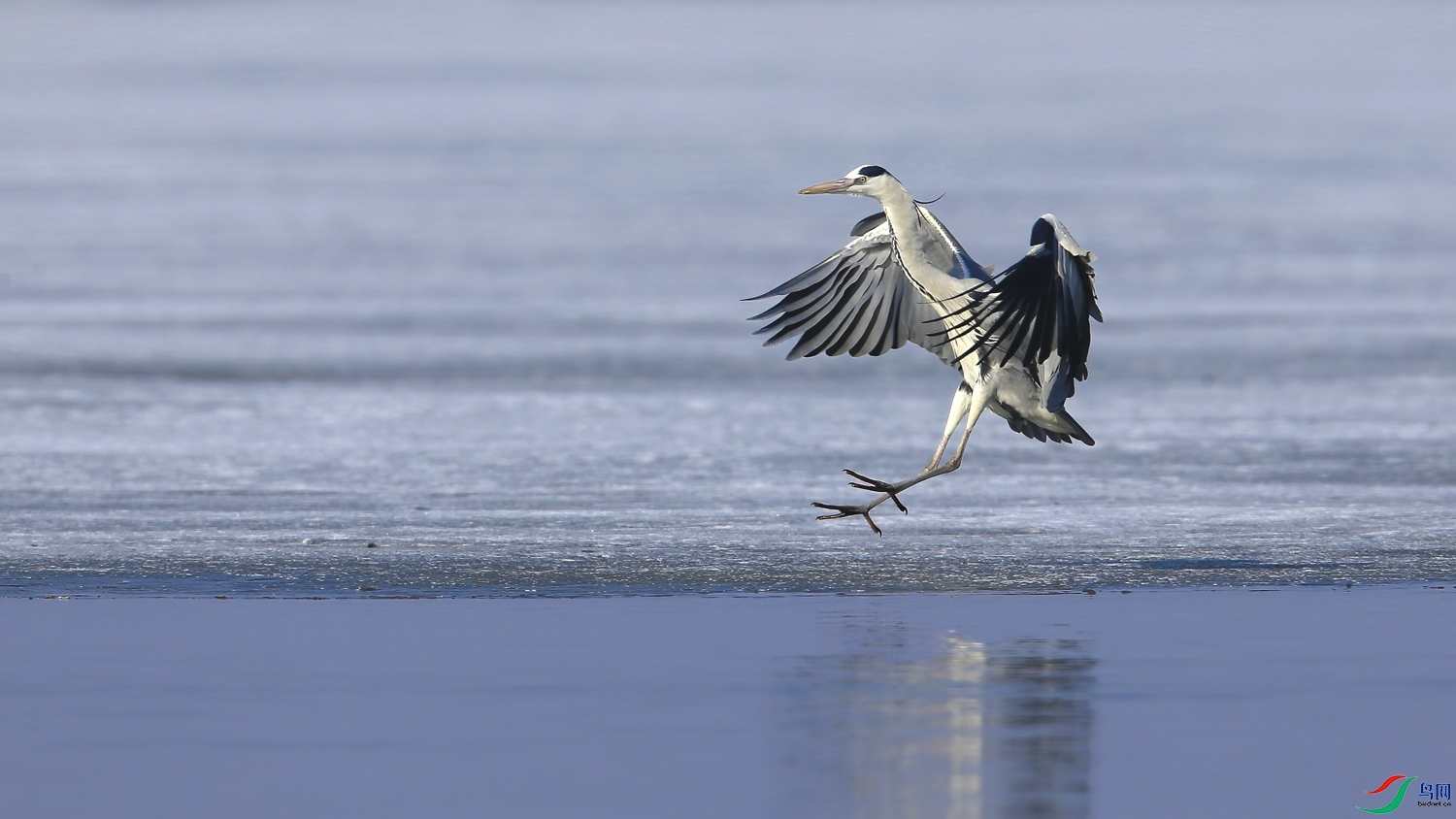 _M3W6834_����.JPG