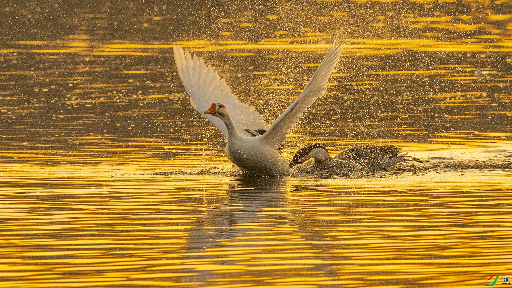 DSC_4228.jpg