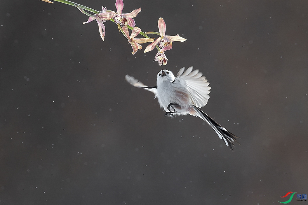 _L107004��1.jpg