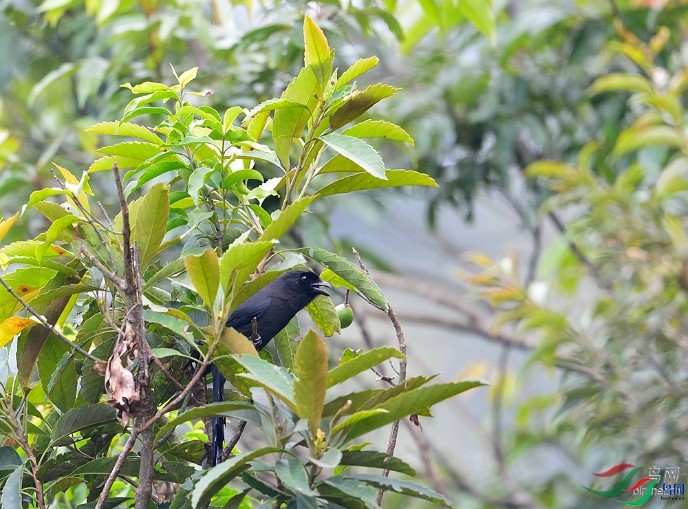 ֪������  ��ʦ�����ں���ʡ�����.jpg